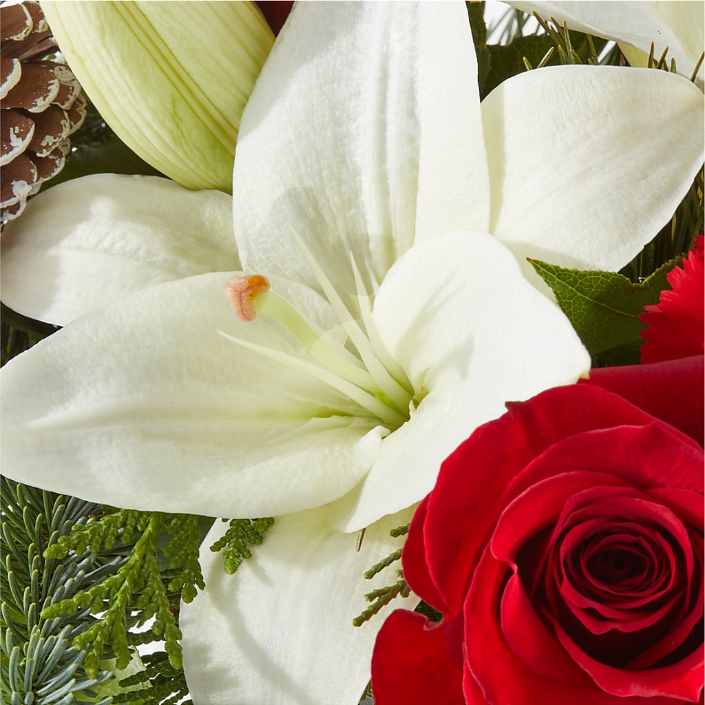 Oh So Jolly Bouquet –  Illusion Flower Shop, Houston TX
