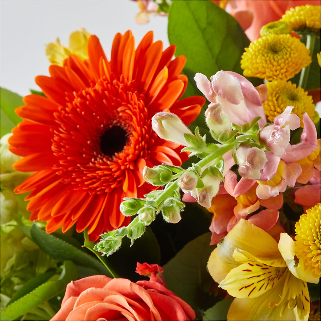 Autumn Sunshine Bouquet –  Illusion Flower Shop, Houston TX