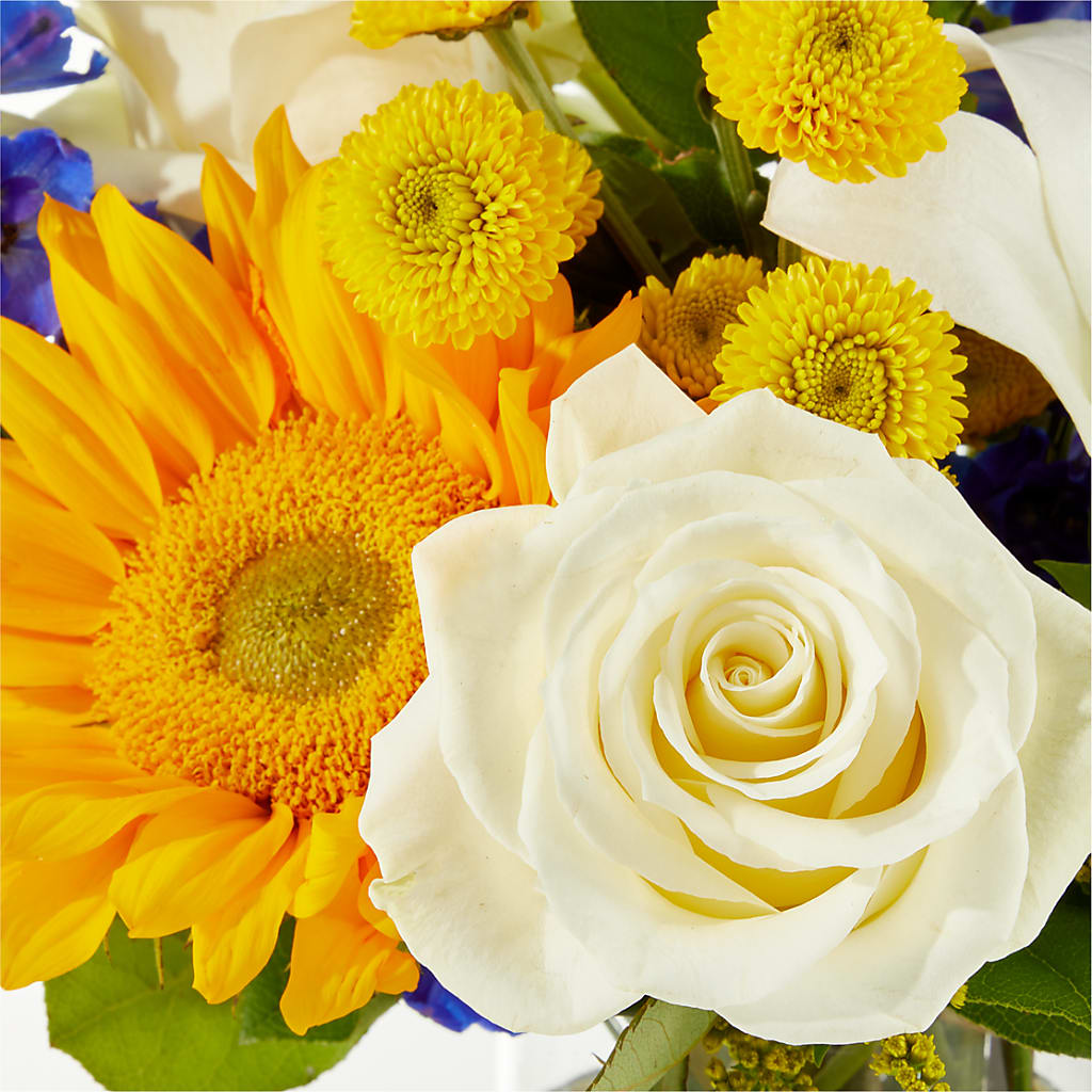 Stargazing Bouquet –  Illusion Flower Shop, Houston TX
