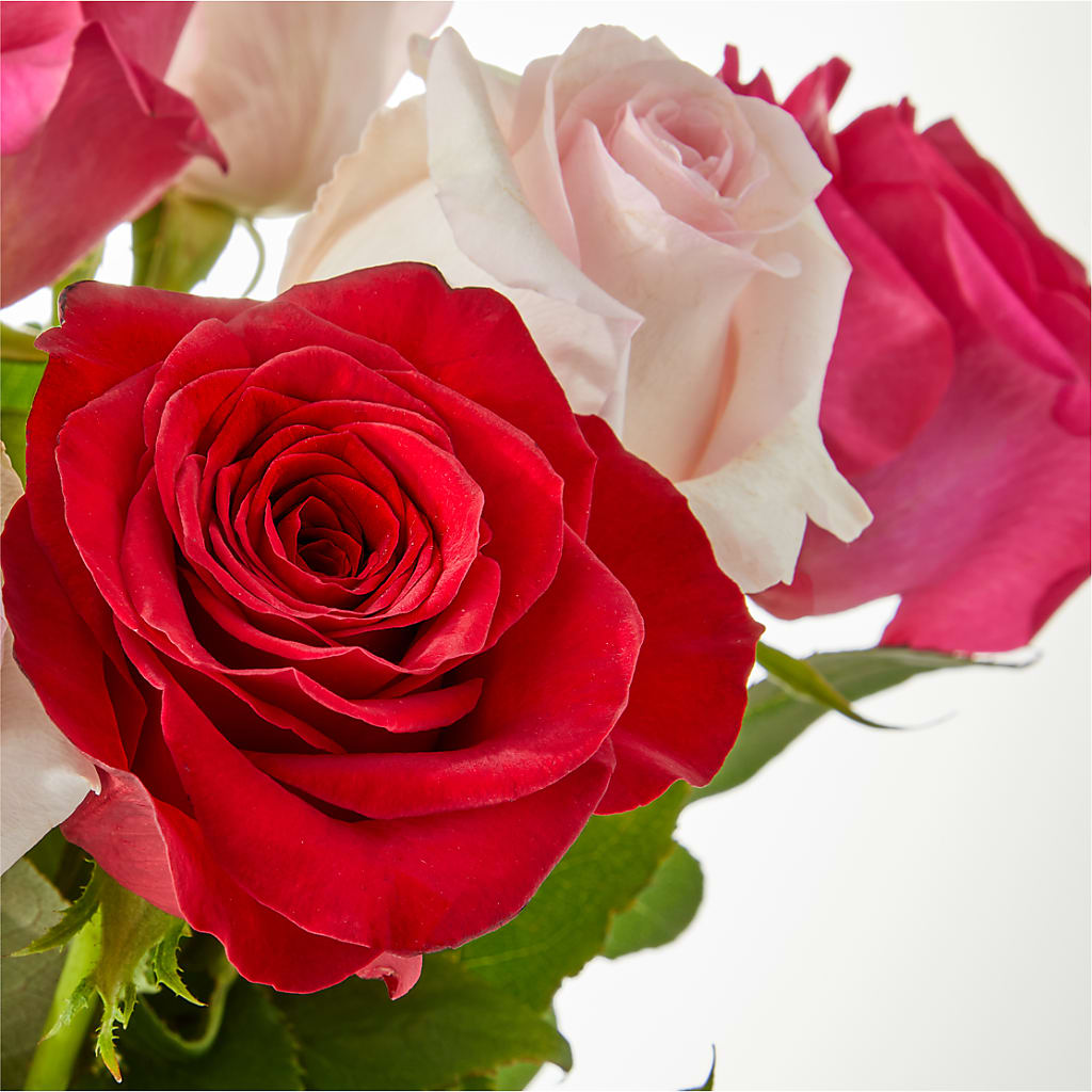 Charming Rose Bouquet –  Illusion Flower Shop, Houston TX