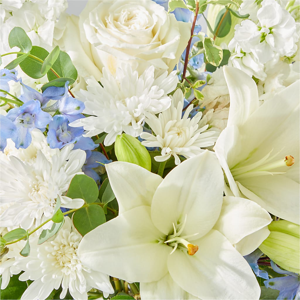 Peace of Mind Bouquet –  Illusion Flower Shop, Houston TX