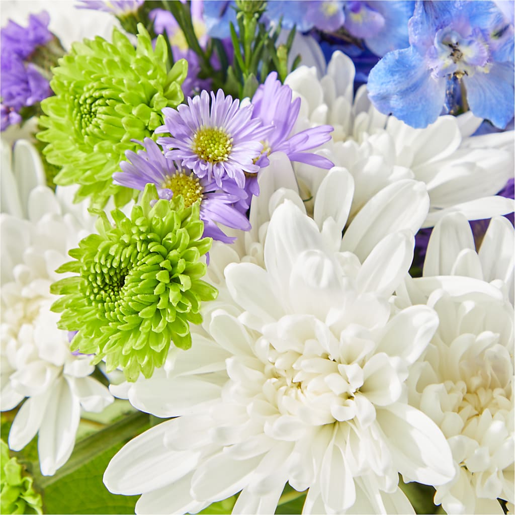 Genuine Gestures Bouquet –  Illusion Flower Shop, Houston TX