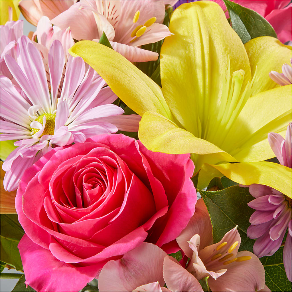 Sprinkles Bouquet –  Illusion Flower Shop, Houston TX