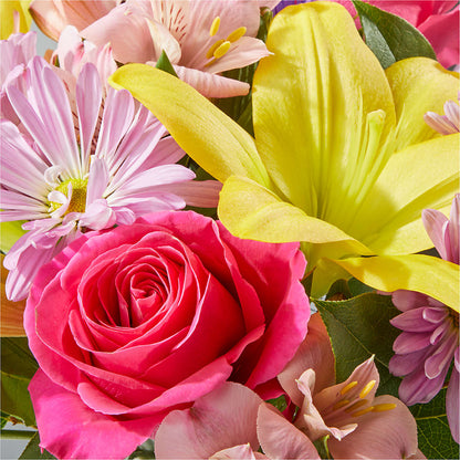 Sprinkles Bouquet –  Illusion Flower Shop, Houston TX