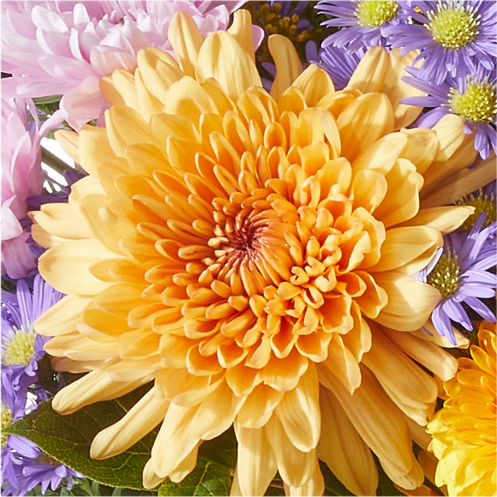 Countryside Bouquet –  Illusion Flower Shop, Houston TX