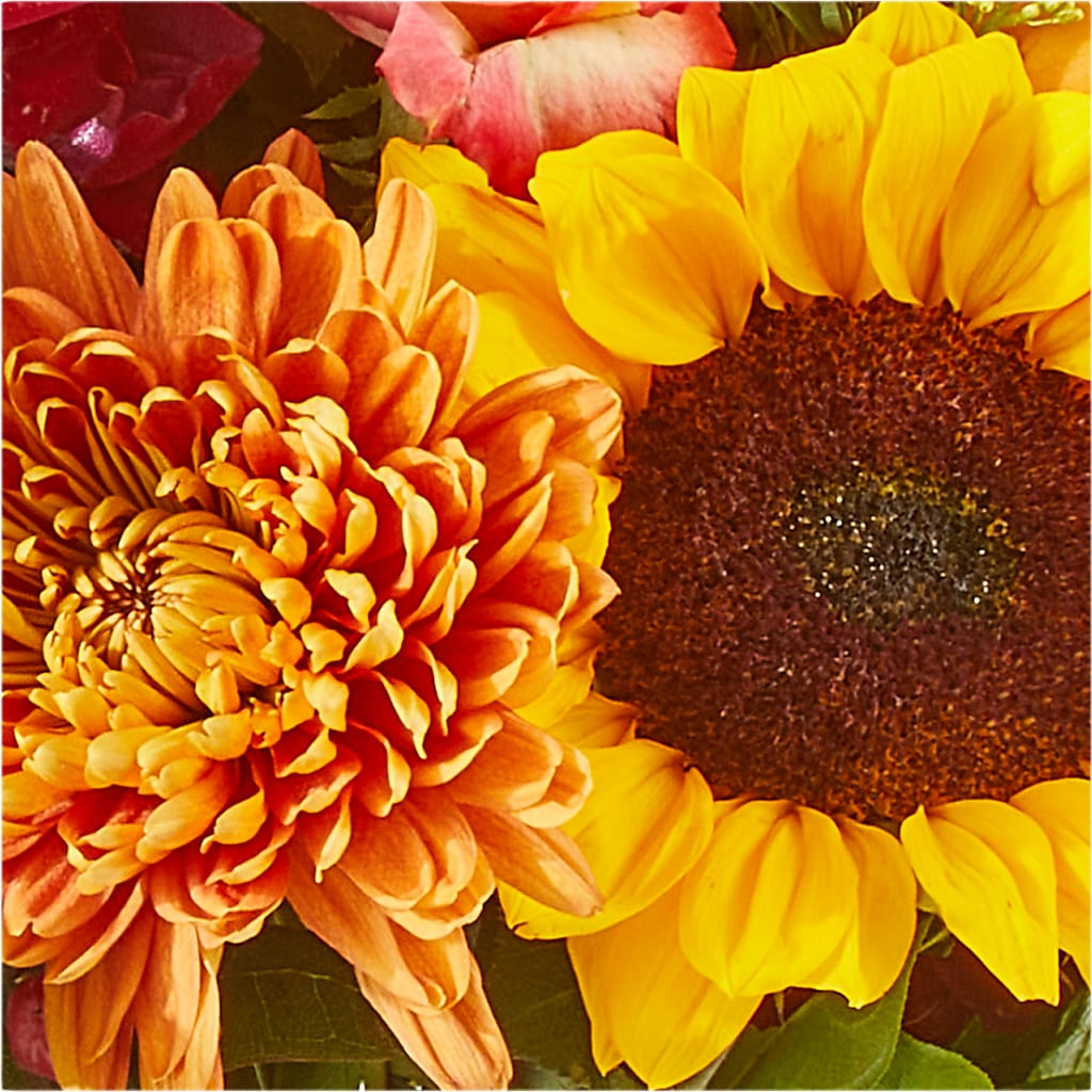 Seasons Change Bouquet –  Illusion Flower Shop, Houston TX