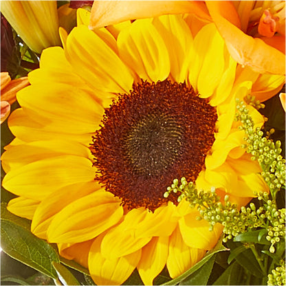 Seasons Change Bouquet –  Illusion Flower Shop, Houston TX