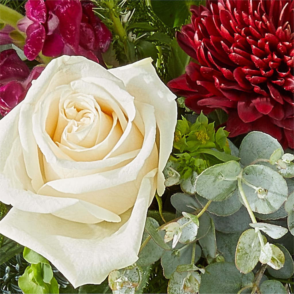 Cranberry Fizz Bouquet –  Illusion Flower Shop, Houston TX