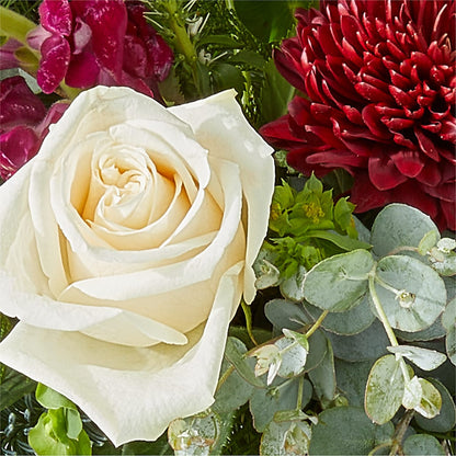Cranberry Fizz Bouquet –  Illusion Flower Shop, Houston TX