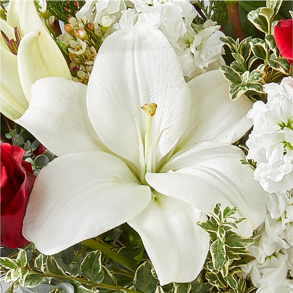 Twinkle Lights Bouquet –  Illusion Flower Shop, Houston TX