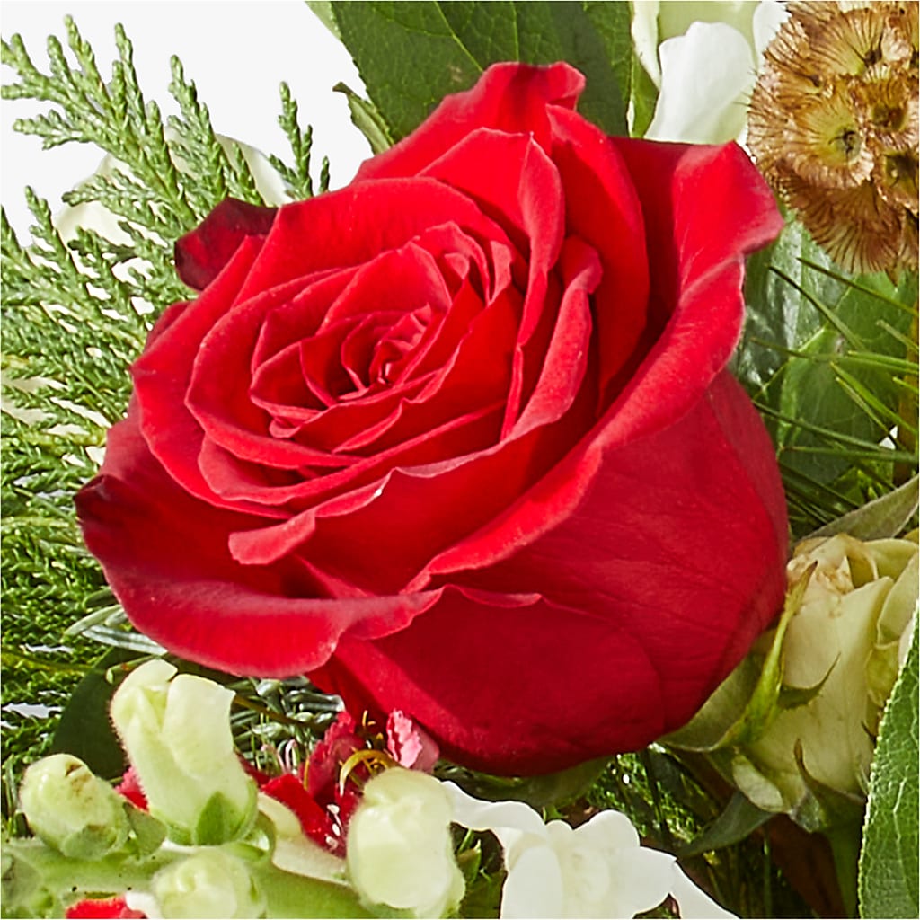 Deck the Halls Bouquet –  Illusion Flower Shop, Houston TX