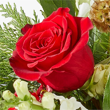 Deck the Halls Bouquet –  Illusion Flower Shop, Houston TX