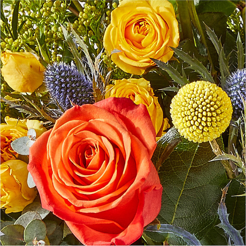 Disco Bouquet –  Illusion Flower Shop, Houston TX