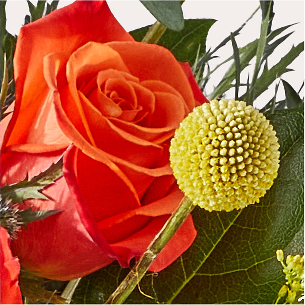 Disco Bouquet –  Illusion Flower Shop, Houston TX