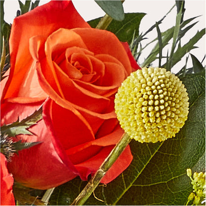 Disco Bouquet –  Illusion Flower Shop, Houston TX