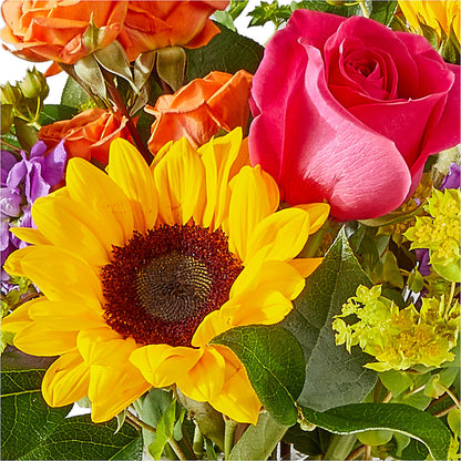Vibrant Greetings Bouquet –  Illusion Flower Shop, Houston TX