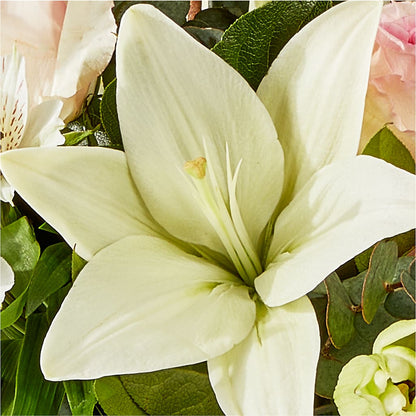 Ballet Slippers Bouquet –  Illusion Flower Shop, Houston TX