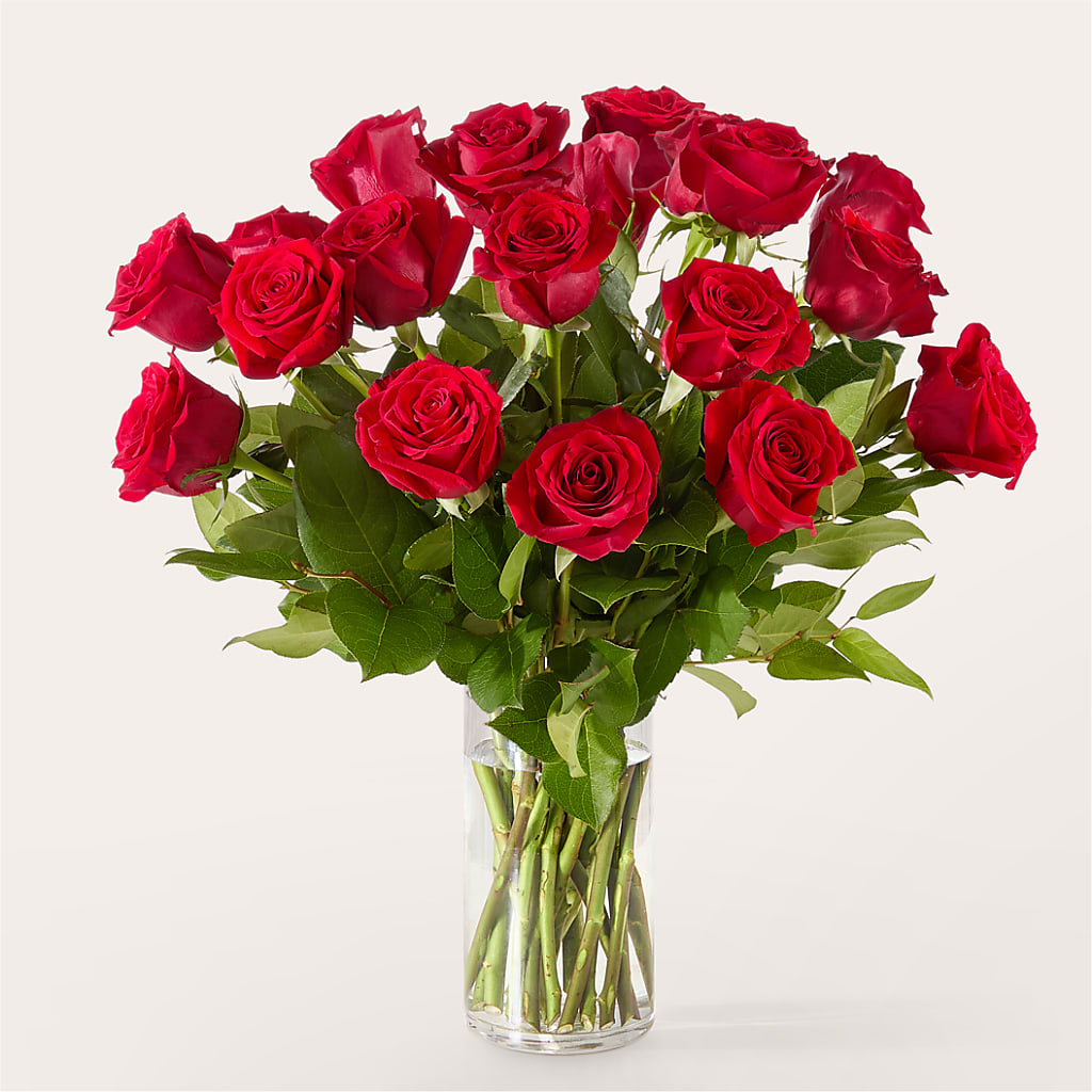 The One Red Rose Bouquet –  Illusion Flower Shop, Houston TX