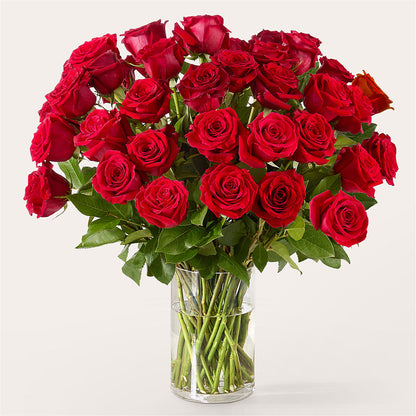 The One Red Rose Bouquet –  Illusion Flower Shop, Houston TX