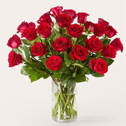 The One Red Rose Bouquet –  Illusion Flower Shop, Houston TX