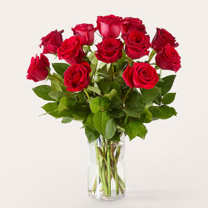 The One Red Rose Bouquet –  Illusion Flower Shop, Houston TX