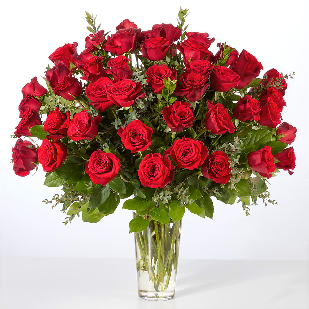 Forever Yours Fifty Stem Red Rose Bouquet –  Illusion Flower Shop, Houston TX