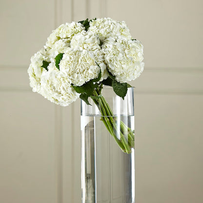White Hydrangea Hand-Tied Bouquet –  Illusion Flower Shop, Houston TX