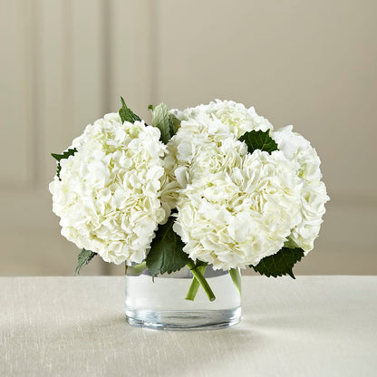 White Hydrangea Bouquet –  Illusion Flower Shop, Houston TX