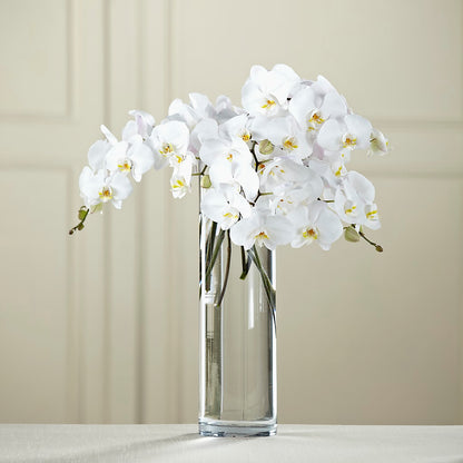 White Phalaenopsis Bouquet –  Illusion Flower Shop, Houston TX
